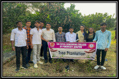 Tree-Plantation-2