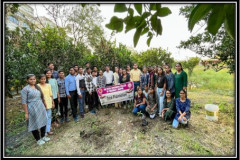 Tree-Plantation-3